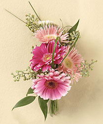  Cottage Florist Lakeland Fl 33813 Premium Flowers lakeland