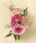  Cottage Florist Lakeland Fl 33813 Premium Flowers lakeland