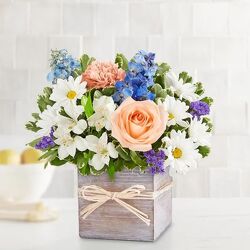 Coastal Breeze Cottage Florist Lakeland Fl 33813 Premium Flowers lakeland