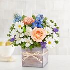 Coastal Breeze Cottage Florist Lakeland Fl 33813 Premium Flowers lakeland