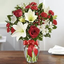 Fields of Europe® Christmas Cottage Florist Lakeland Fl 33813 Premium Flowers lakeland