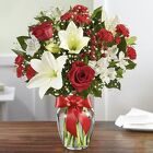 Fields of Europe® Christmas Cottage Florist Lakeland Fl 33813 Premium Flowers lakeland