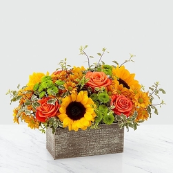 Harvest Cubed Cottage Florist Lakeland Fl 33813 Premium Flowers lakeland