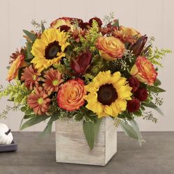 Harvest Glow™ Bouquet Cottage Florist Lakeland Fl 33813 Premium Flowers lakeland