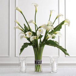 White Calla Lilies Cottage Florist Lakeland Fl 33813 Premium Flowers lakeland