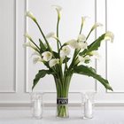 White Calla Lilies Cottage Florist Lakeland Fl 33813 Premium Flowers lakeland