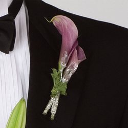 PLUM BOUTONNIERE Cottage Florist Lakeland Fl 33813 Premium Flowers lakeland