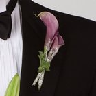 PLUM BOUTONNIERE Cottage Florist Lakeland Fl 33813 Premium Flowers lakeland