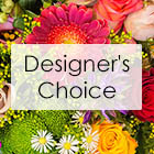 Designer's Choice Arrangement Cottage Florist Lakeland Fl 33813 Premium Flowers lakeland
