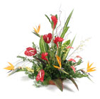 Tropical Escape Cottage Florist Lakeland Fl 33813 Premium Flowers lakeland