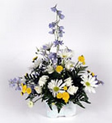 Delightful Day Cottage Florist Lakeland Fl 33813 Premium Flowers lakeland