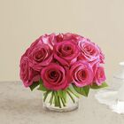 Contemporary Hot Pink Roses Cottage Florist Lakeland Fl 33813 Premium Flowers lakeland