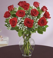 Rose Elegance™ Premium Long Stem Red Roses Cottage Florist Lakeland Fl 33813 Premium Flowers lakeland
