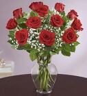 Rose Elegance™ Premium Long Stem Red Roses Cottage Florist Lakeland Fl 33813 Premium Flowers lakeland