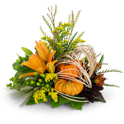 Abstract Cornucopia Cottage Florist Lakeland Fl 33813 Premium Flowers lakeland