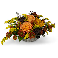 Woodland Wishes Cottage Florist Lakeland Fl 33813 Premium Flowers lakeland