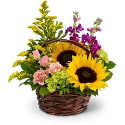 Wild Woodlands Cottage Florist Lakeland Fl 33813 Premium Flowers lakeland