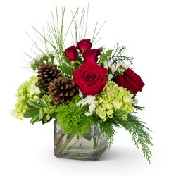 Wintertime  Warmth Cottage Florist Lakeland Fl 33813 Premium Flowers lakeland