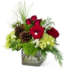 Wintertime Wishes Cottage Florist Lakeland Fl 33813 Premium Flowers lakeland