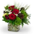 Wintertime Beauty Cottage Florist Lakeland Fl 33813 Premium Flowers lakeland