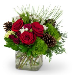 Wintertime Blooms Cottage Florist Lakeland Fl 33813 Premium Flowers lakeland