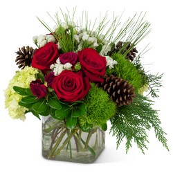 Wintertime Glow Cottage Florist Lakeland Fl 33813 Premium Flowers lakeland