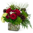 Wintertime Glow Cottage Florist Lakeland Fl 33813 Premium Flowers lakeland