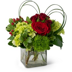 Daily Love Cottage Florist Lakeland Fl 33813 Premium Flowers lakeland