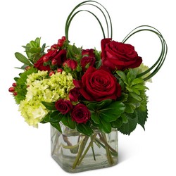 All My Love Cottage Florist Lakeland Fl 33813 Premium Flowers lakeland