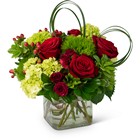 Lavish Love Cottage Florist Lakeland Fl 33813 Premium Flowers lakeland