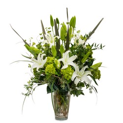 White Expressions Cottage Florist Lakeland Fl 33813 Premium Flowers lakeland