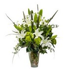 White Expressions Cottage Florist Lakeland Fl 33813 Premium Flowers lakeland