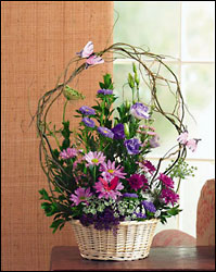 Butterfly Basket Cottage Florist Lakeland Fl 33813 Premium Flowers lakeland