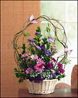 Butterfly Basket Cottage Florist Lakeland Fl 33813 Premium Flowers lakeland