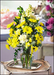 Sweet Celebrations Cottage Florist Lakeland Fl 33813 Premium Flowers lakeland