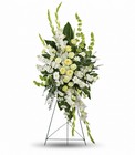 Magnificent Life Spray Cottage Florist Lakeland Fl 33813 Premium Flowers lakeland