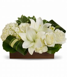 Sweet Desire by Teleflora Cottage Florist Lakeland Fl 33813 Premium Flowers lakeland