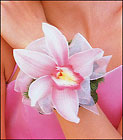 Pink Orchid Wristlet Cottage Florist Lakeland Fl 33813 Premium Flowers lakeland
