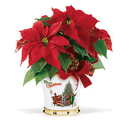Deluxe Baby Gift Basket Cottage Florist Lakeland Fl 33813 Premium Flowers lakeland