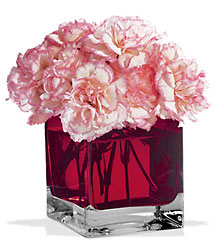 Teleflora's Juliet Bouquet Cottage Florist Lakeland Fl 33813 Premium Flowers lakeland