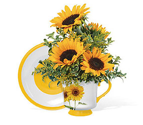 Teleflora's Sunny Sunflower Teacup Bouquet Cottage Florist Lakeland Fl 33813 Premium Flowers lakeland