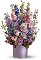 Lavender Lace Cottage Florist Lakeland Fl 33813 Premium Flowers lakeland