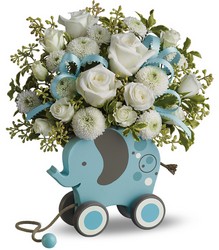 MiGi's Baby Elephant Bouquet in Blue Cottage Florist Lakeland Fl 33813 Premium Flowers lakeland