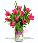 Precious Hot Pink Tulips Cottage Florist Lakeland Fl 33813 Premium Flowers lakeland