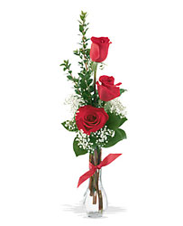 3 Red Roses Cottage Florist Lakeland Fl 33813 Premium Flowers lakeland