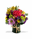 Posey Bunch Cottage Florist Lakeland Fl 33813 Premium Flowers lakeland