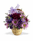 Lavender Garden Cottage Florist Lakeland Fl 33813 Premium Flowers lakeland