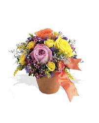 Sweet and Simple Cottage Florist Lakeland Fl 33813 Premium Flowers lakeland