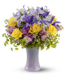 Lavender Sunshine Cottage Florist Lakeland Fl 33813 Premium Flowers lakeland