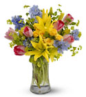 Spring Delight Cottage Florist Lakeland Fl 33813 Premium Flowers lakeland